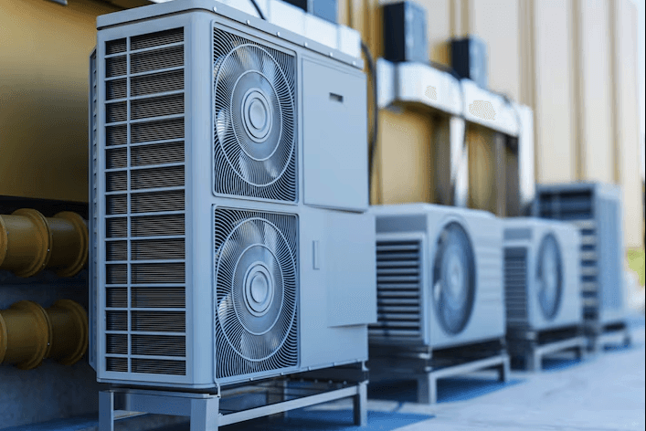 black and white cat watching adult yellow Labrador retriever on window