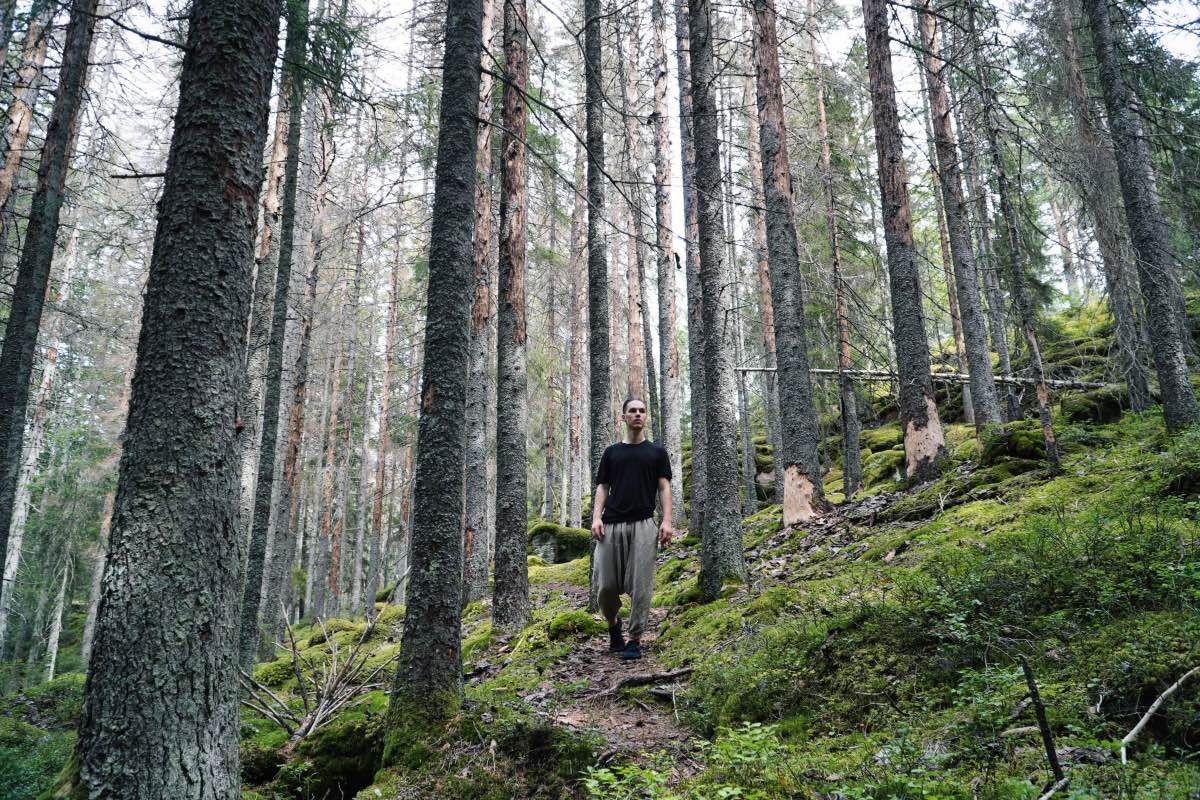 Person walking along a mossy forest path surrounded by tall pine trees — symbolizing grounding, clarity, and connection to nature.