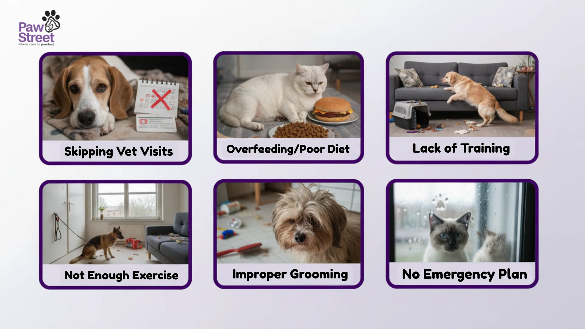 Biggest Mistakes Pet Parents Make. Fix Them Now