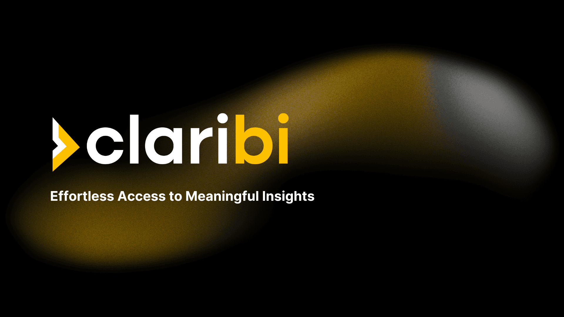 Claribi - Effortless Access to Meaningful Insights