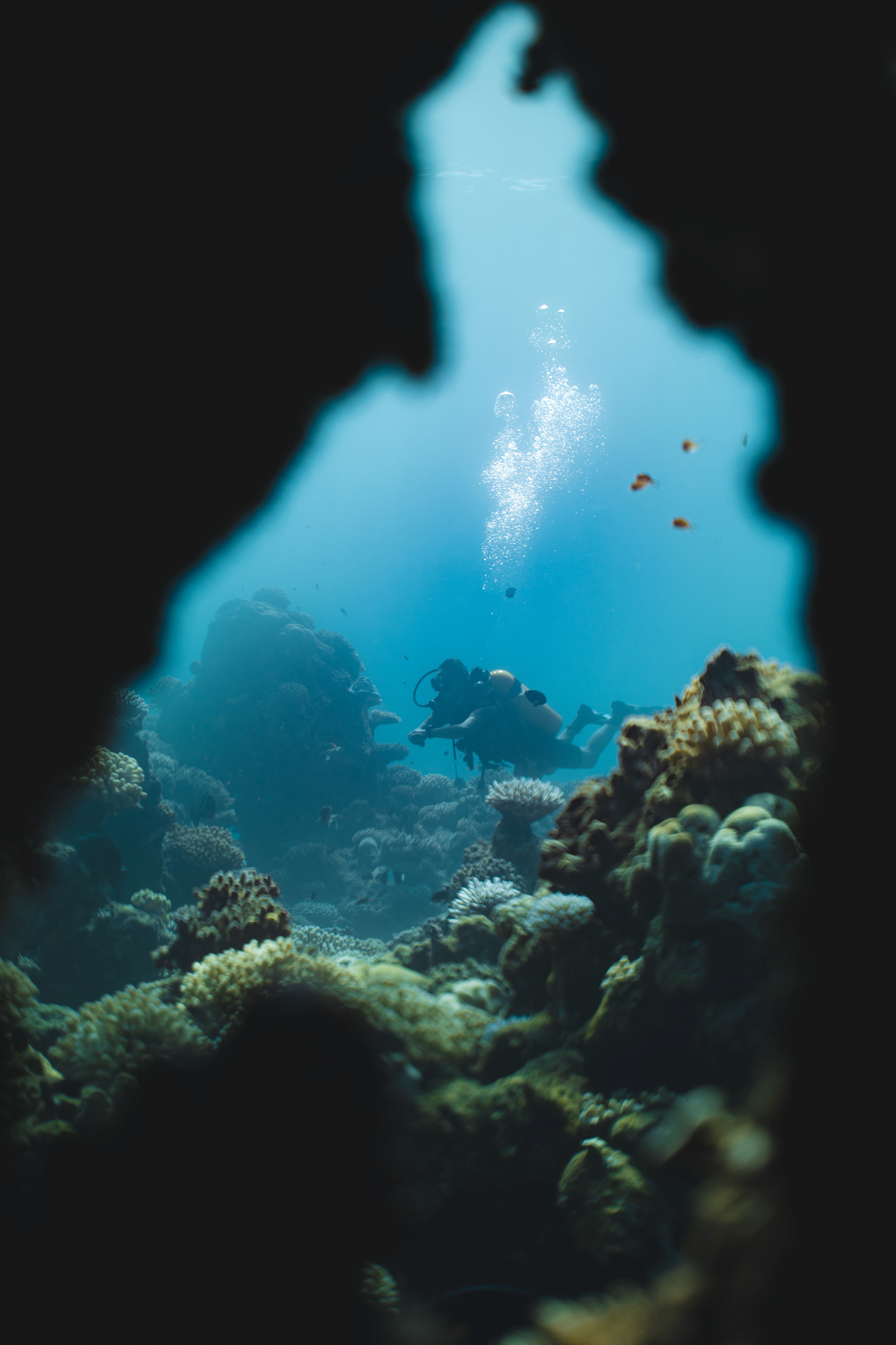 Dom Pérignon vineyards from the sky
