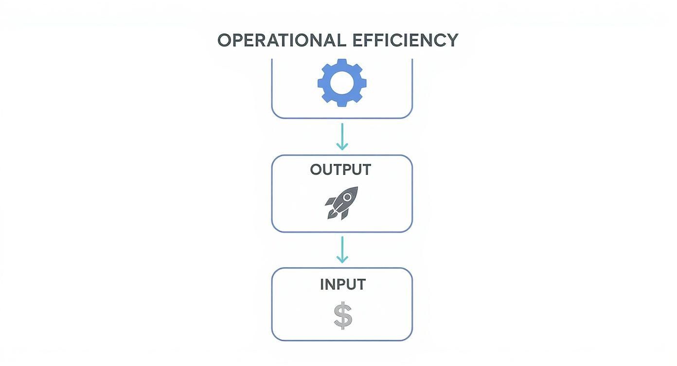 Infographic about what is operational efficiency