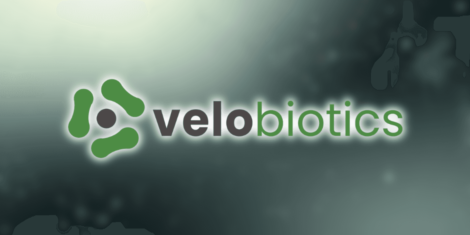 Velobiotics logo, representing a company focused on enhancing gut health with effective probiotics through innovative technology and delivery systems.