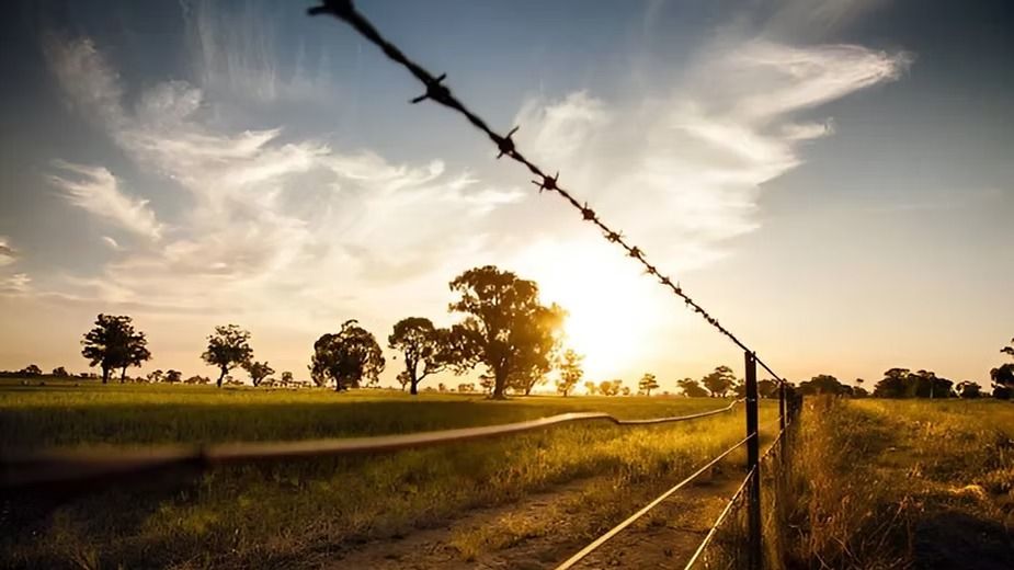 Barbed Wire Fencing.jpeg