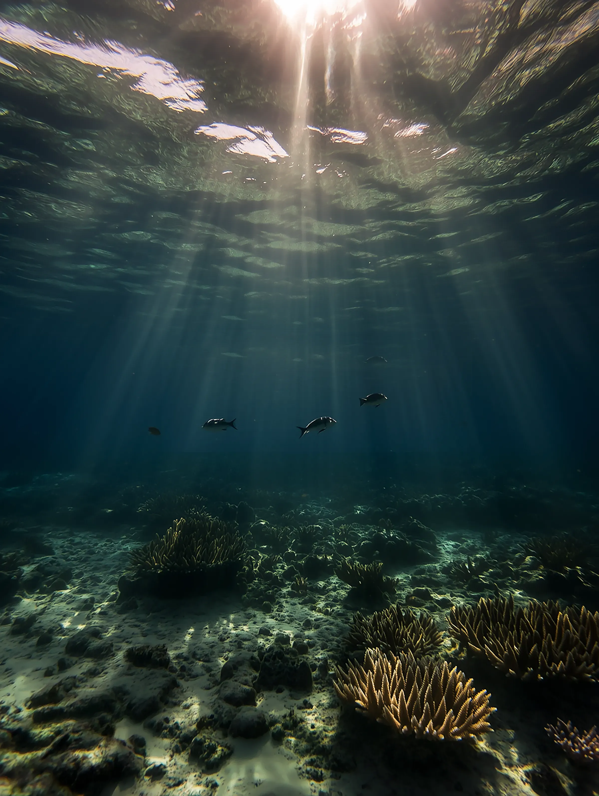 Underwater Light Beams
