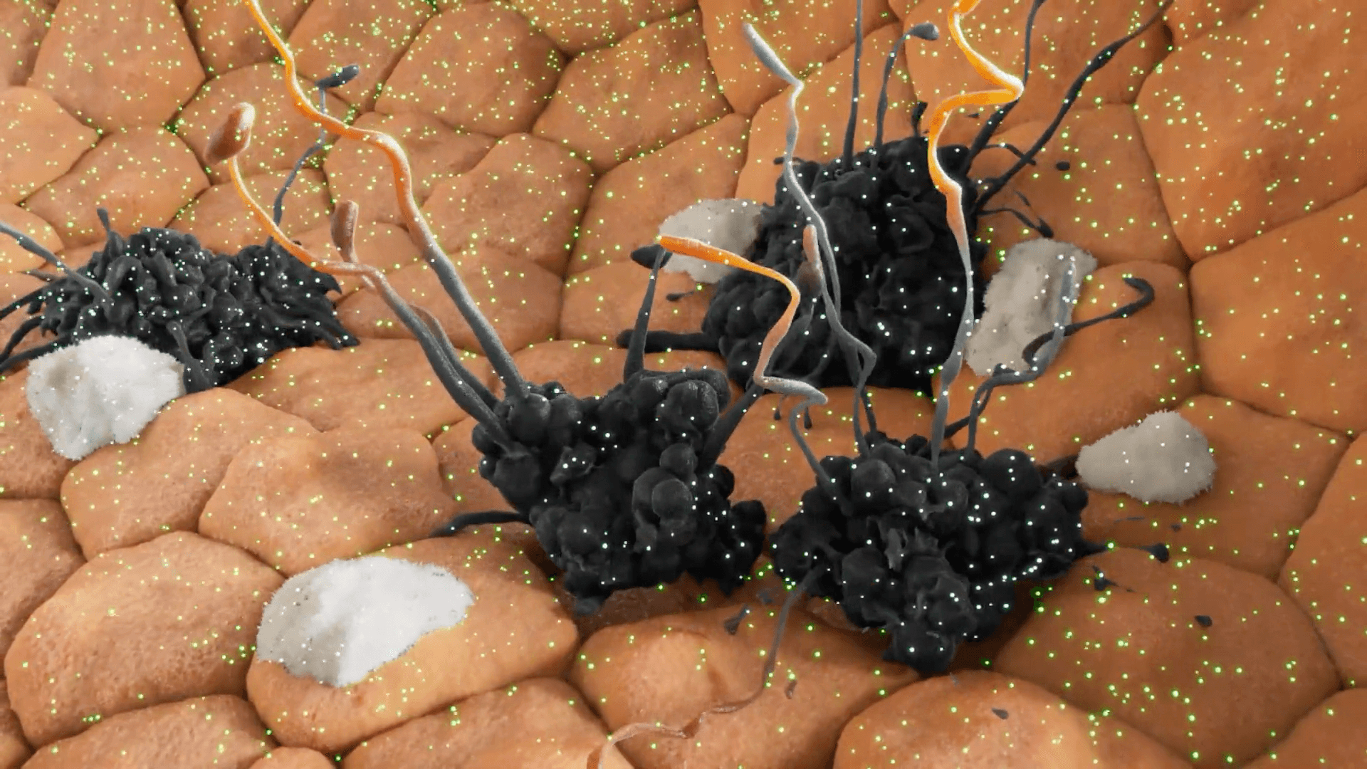 3D visualization of a ribosome producing a protein chain