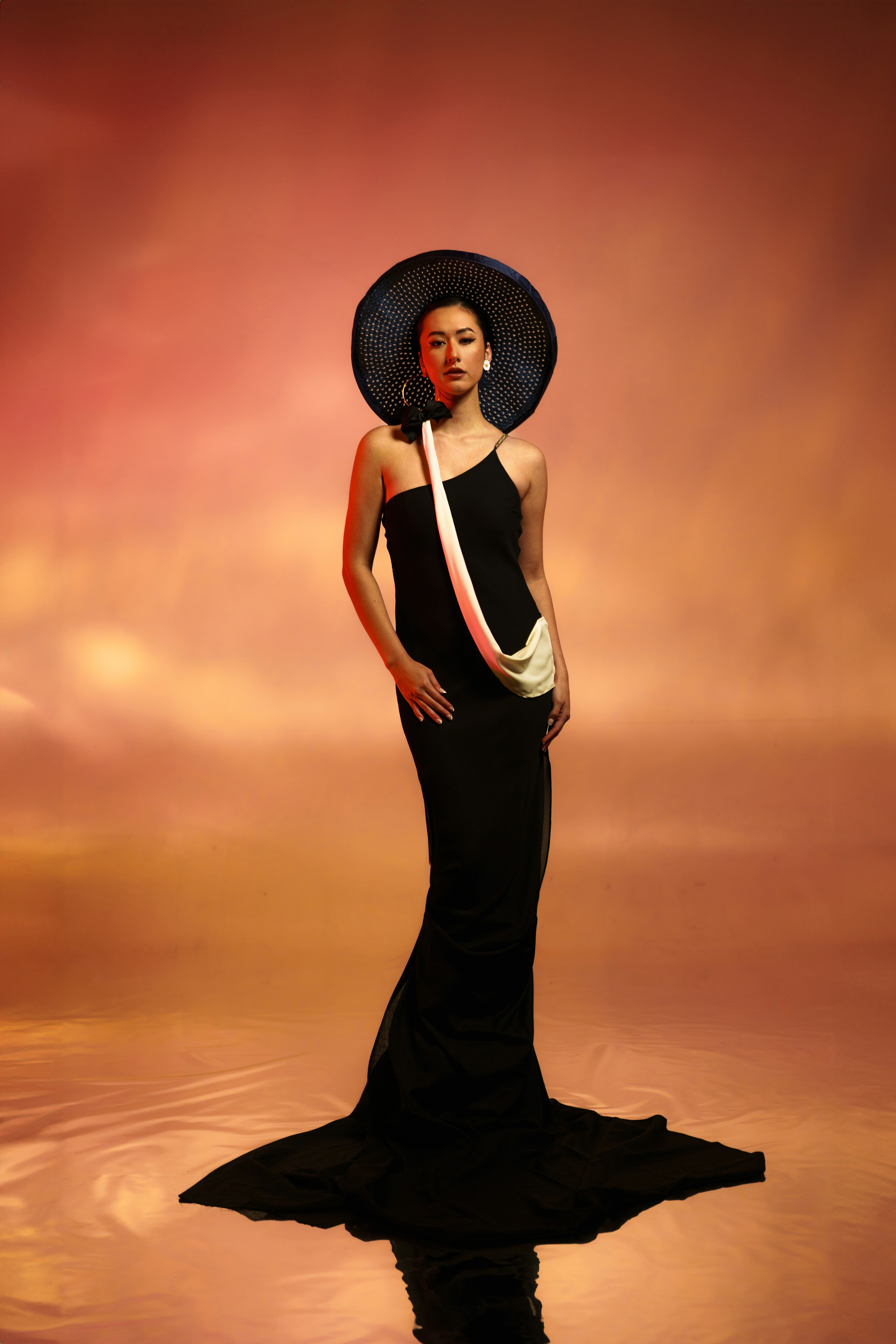 Female Fashion Model in long dress