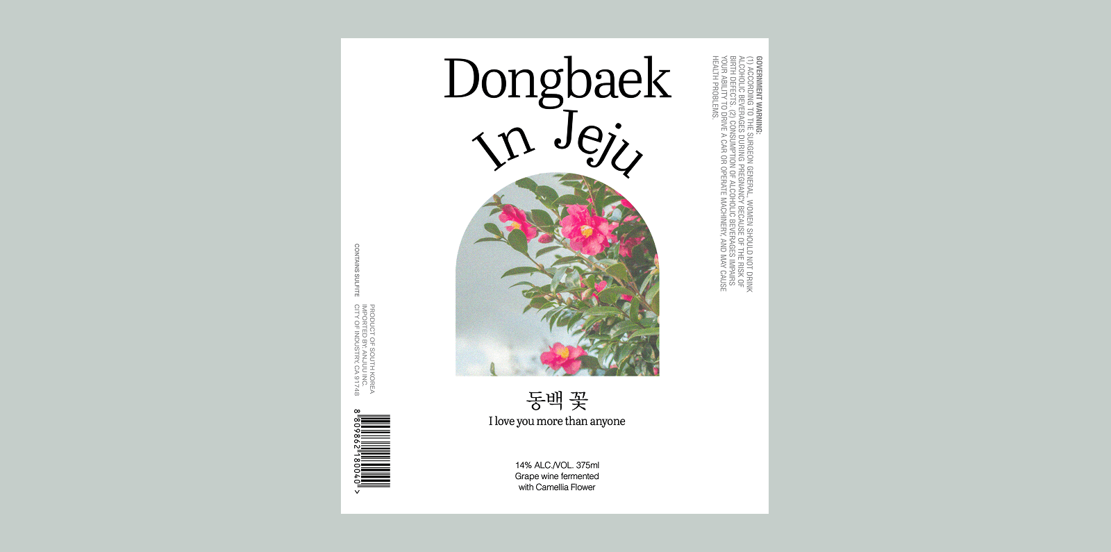 Large Project Gallery Image #4