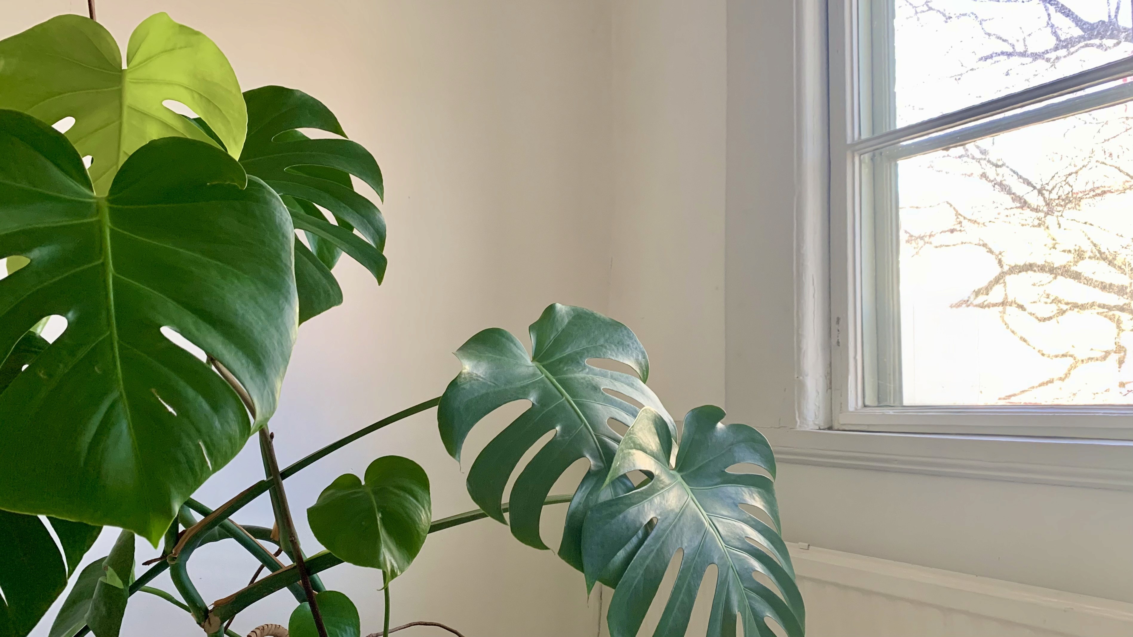 Cycling