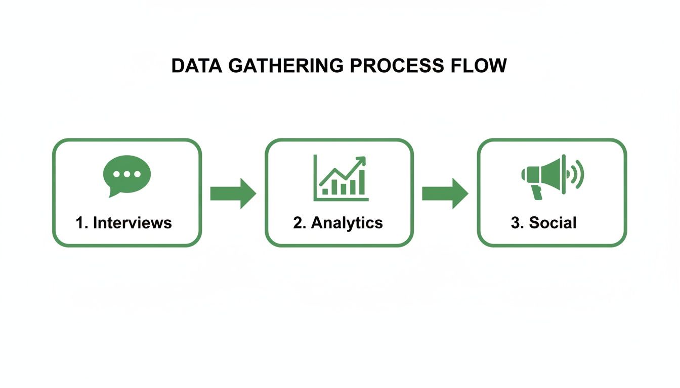 A data gathering process flow diagram illustrating three steps: interviews, analytics, and social data collection.