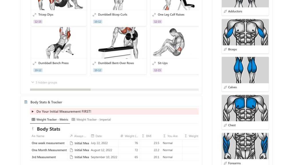 Free Notion Templates Gym Tracker