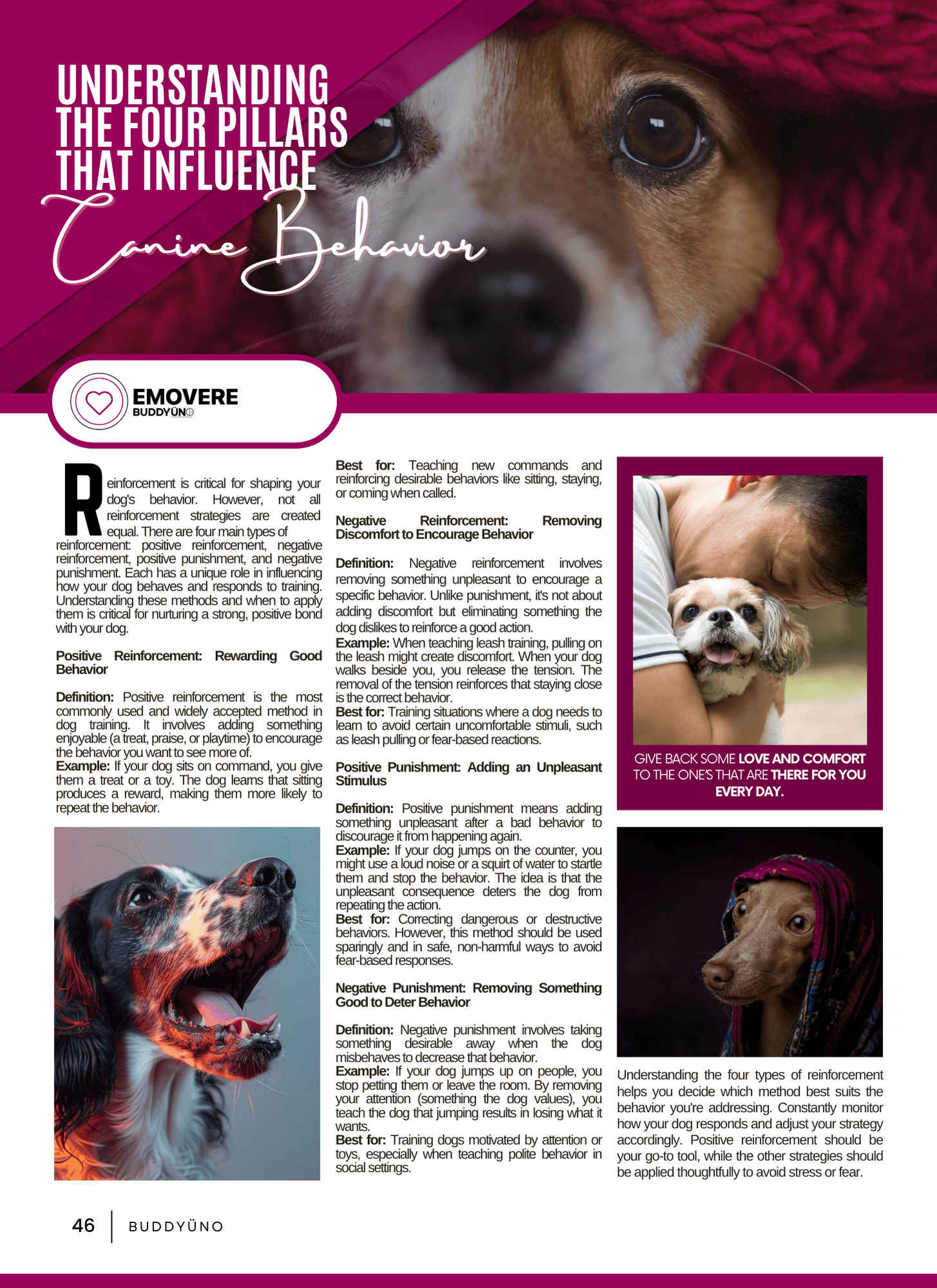 buddyuno, dog magazine, page 46