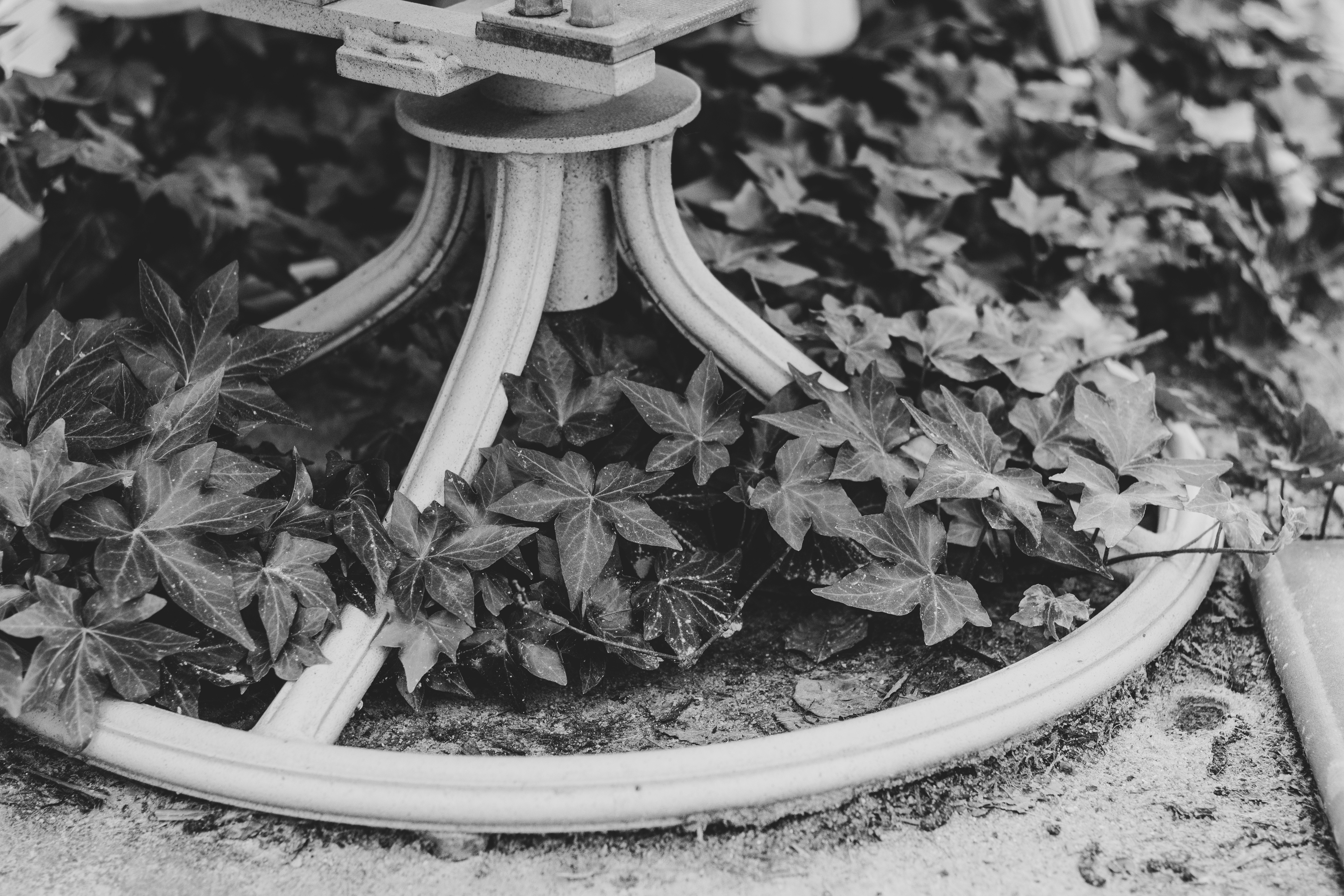 low angle photography of building