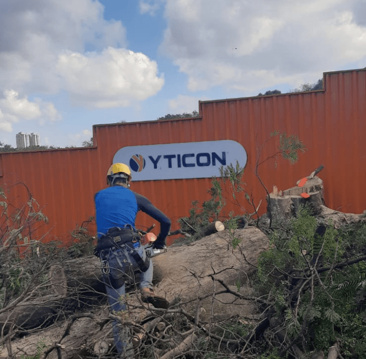 Corte de Árvore para Yticon