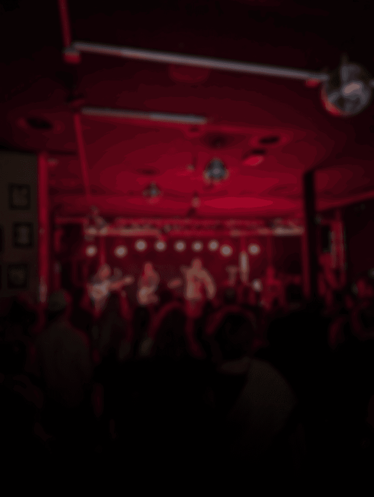 Picture of a concert, standing for "Concert Videography"