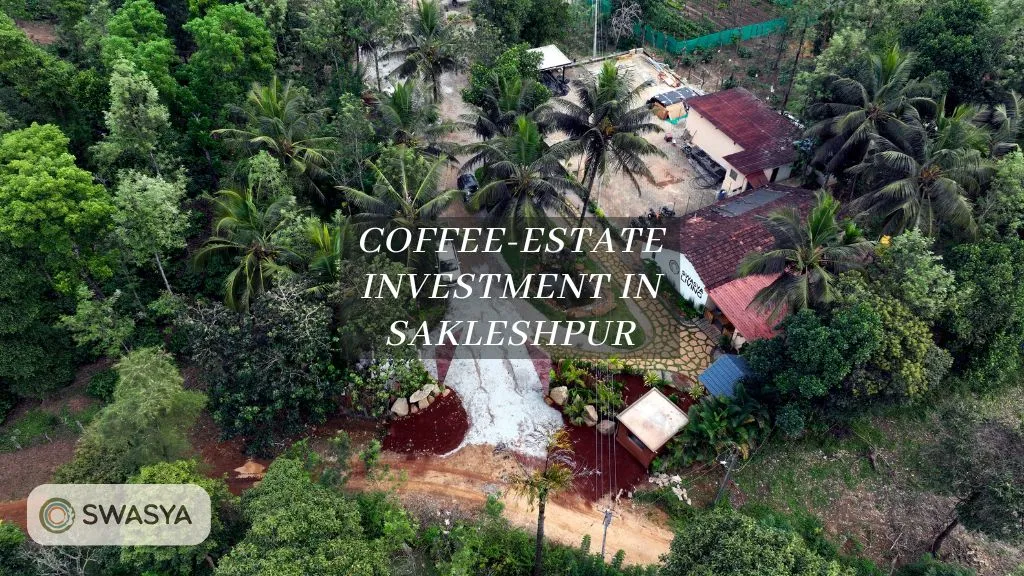 Coffee-estate investment in Sakleshpur