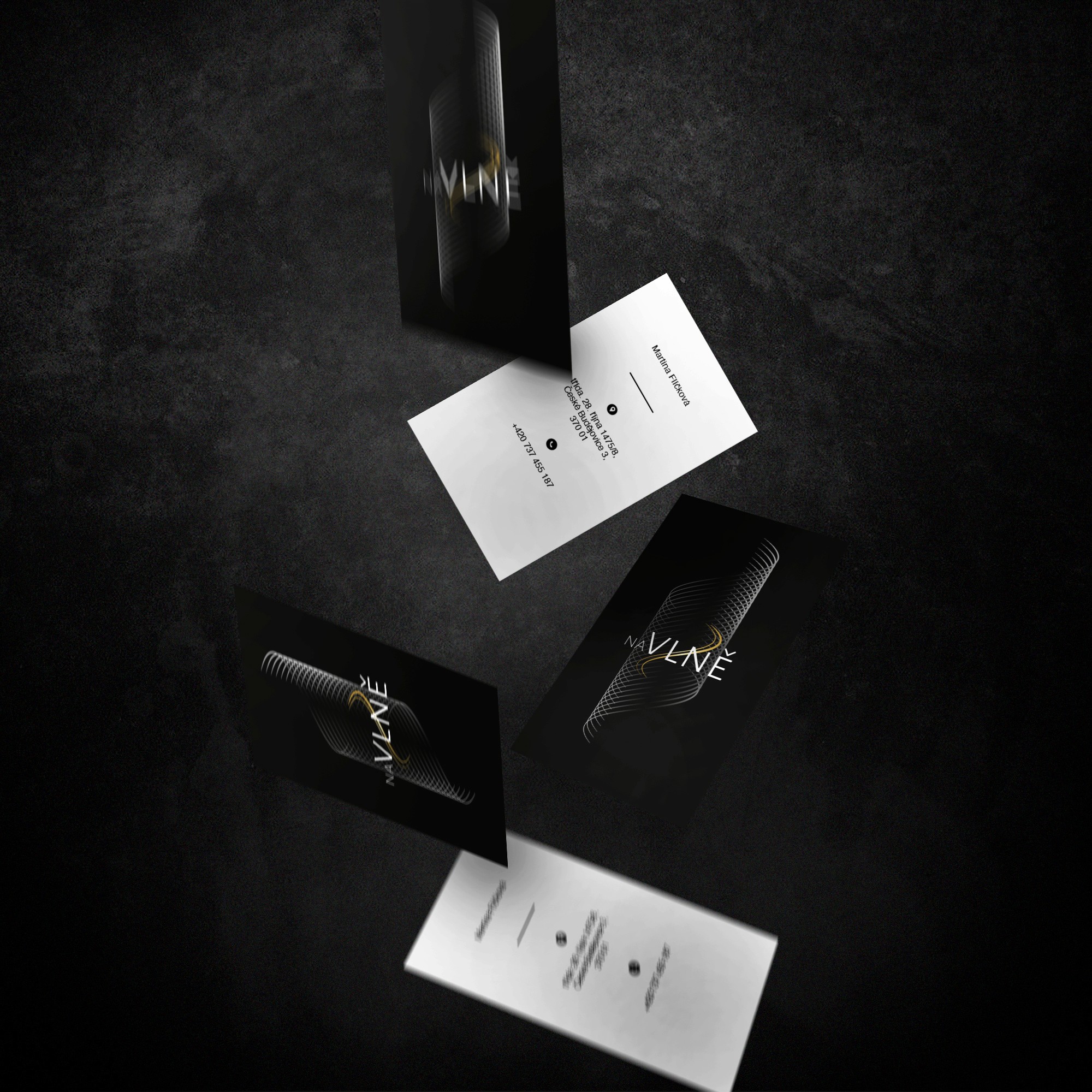Brand identity pro NaVlně – vizuál 1