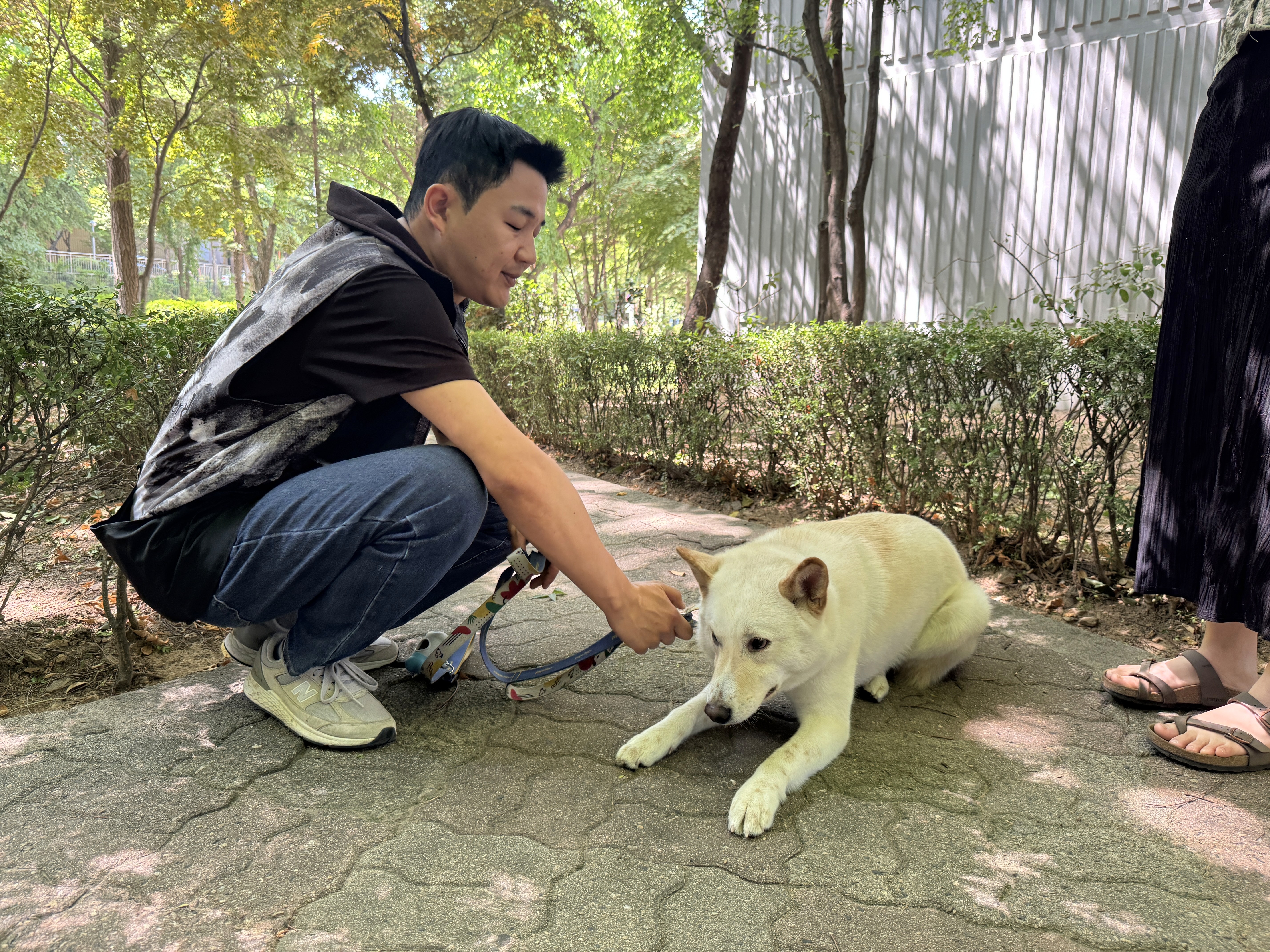 AquaFlow's transparent and eco-friendly packaging showcases the purity of its mountain spring water.
