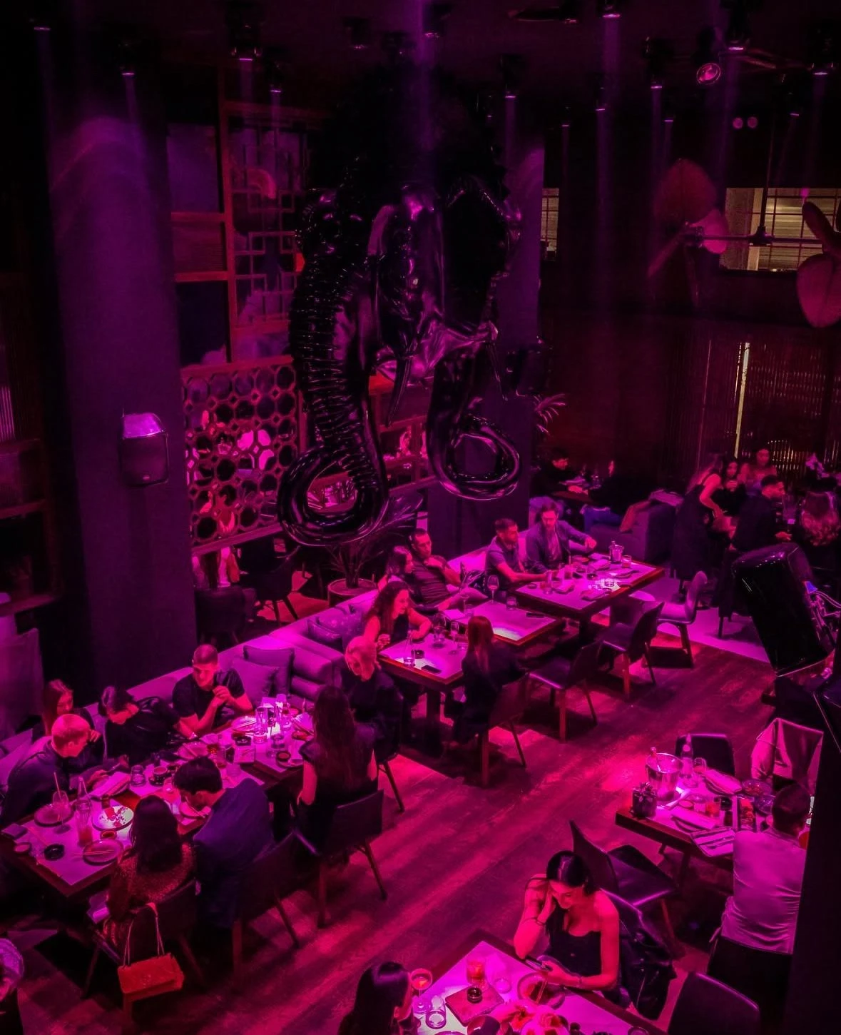 Dinner at Sakura, Beton Hala, Belgrade