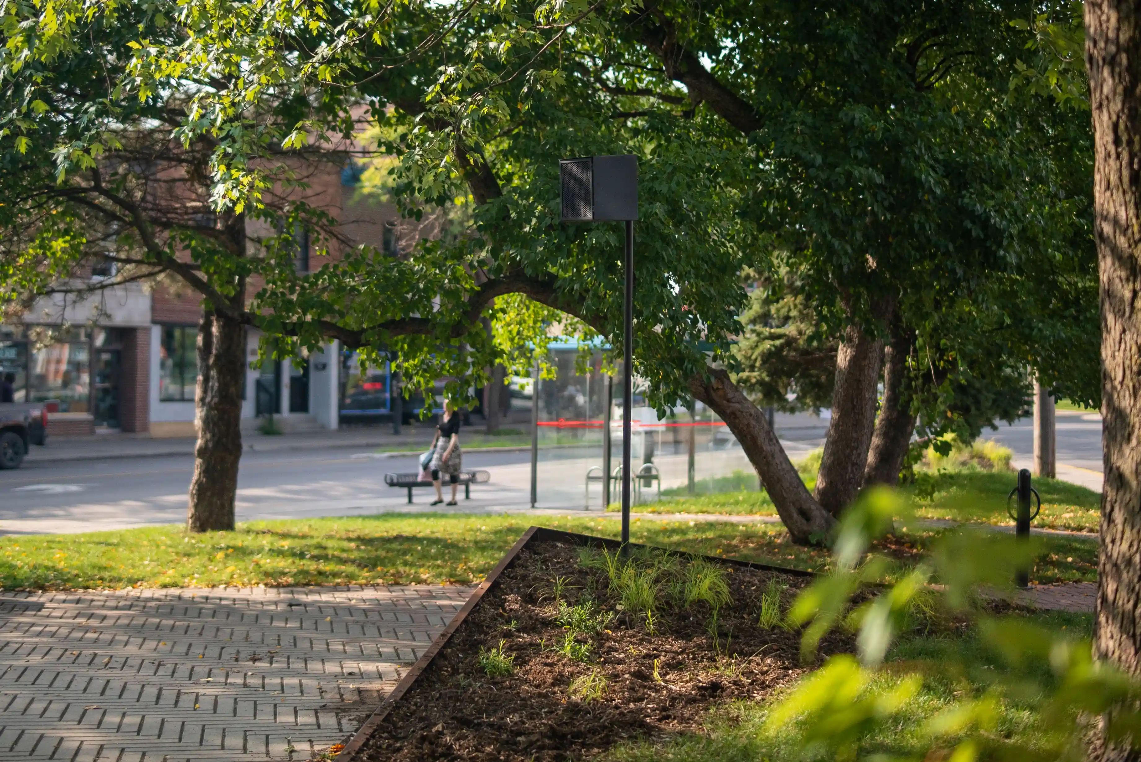 Haut-parleur installé sur un mât au milieu d’un parc urbain ombragé, entouré d’arbres et de végétation.