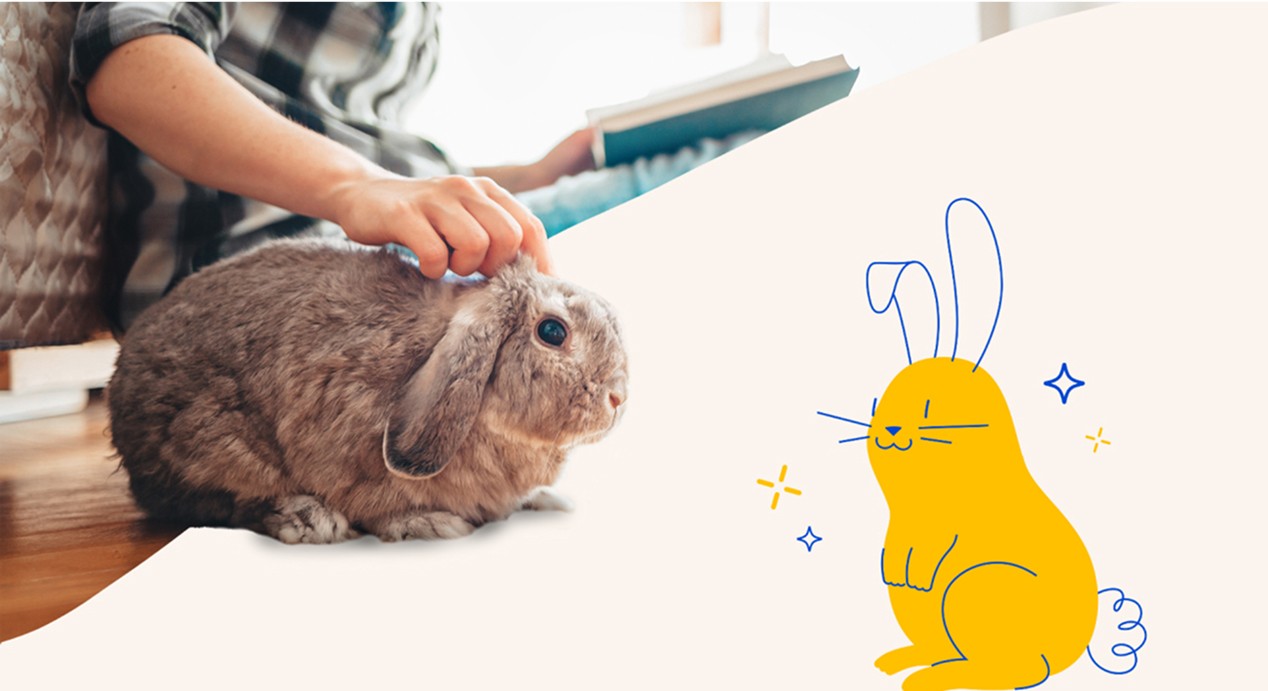 Pet Supermarket Work Sample