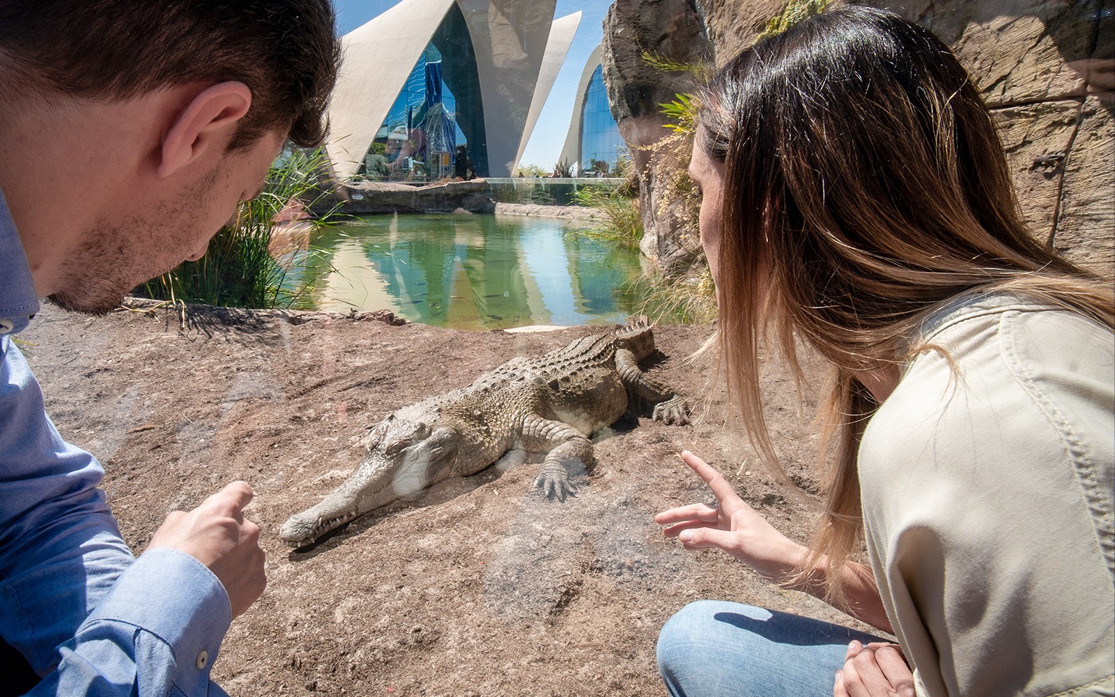 Visitors observing a crocodile at Oceanogràfic Valencia with modern architecture in the background.