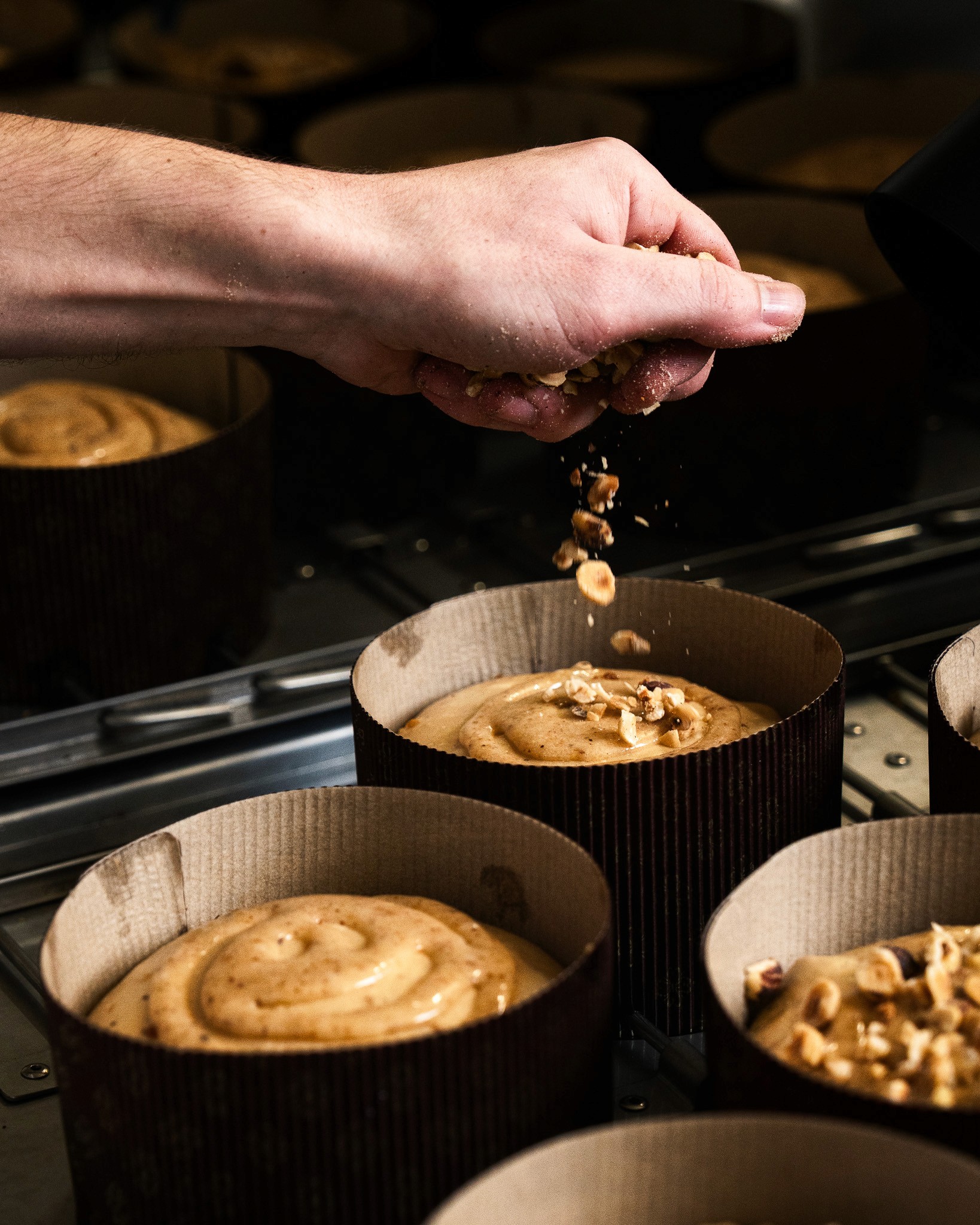 Fleur, Ortie, Photo de studio, Noir et blanc, pierretmae