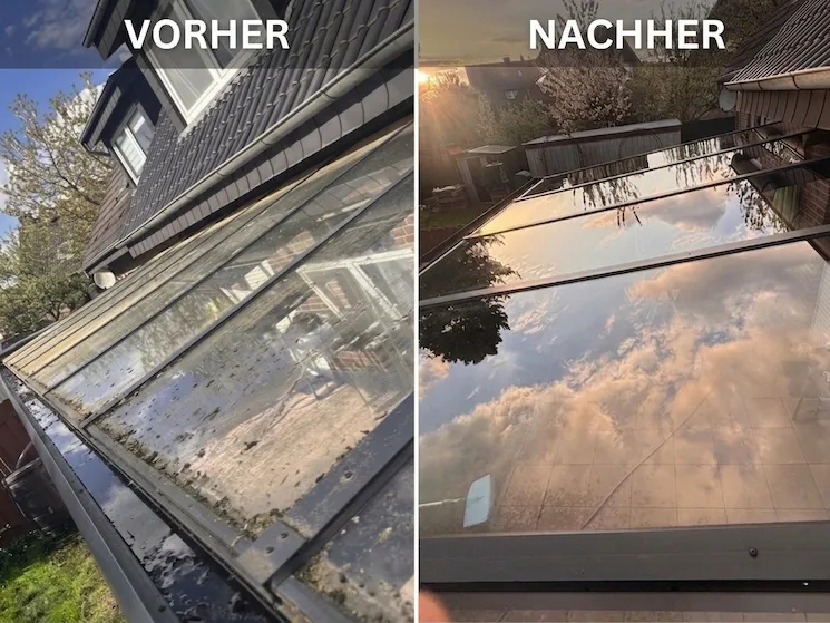 Glasdach Reinigung Osnabrück – Vorher-Nachher: verschmutztes Glasdach mit Moos und Ablagerungen, danach makellos sauber