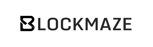 Blockmaze logo