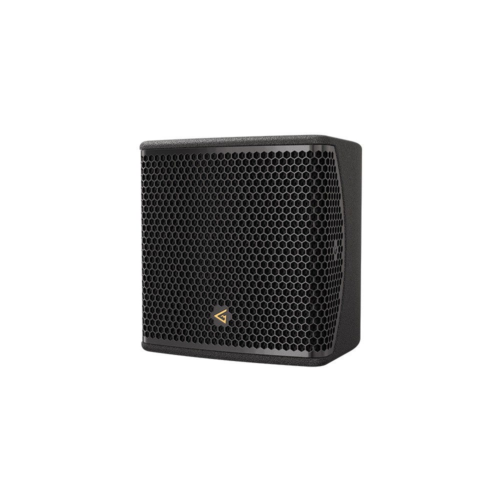 Black speaker with hexagonal grille and gold emblem.