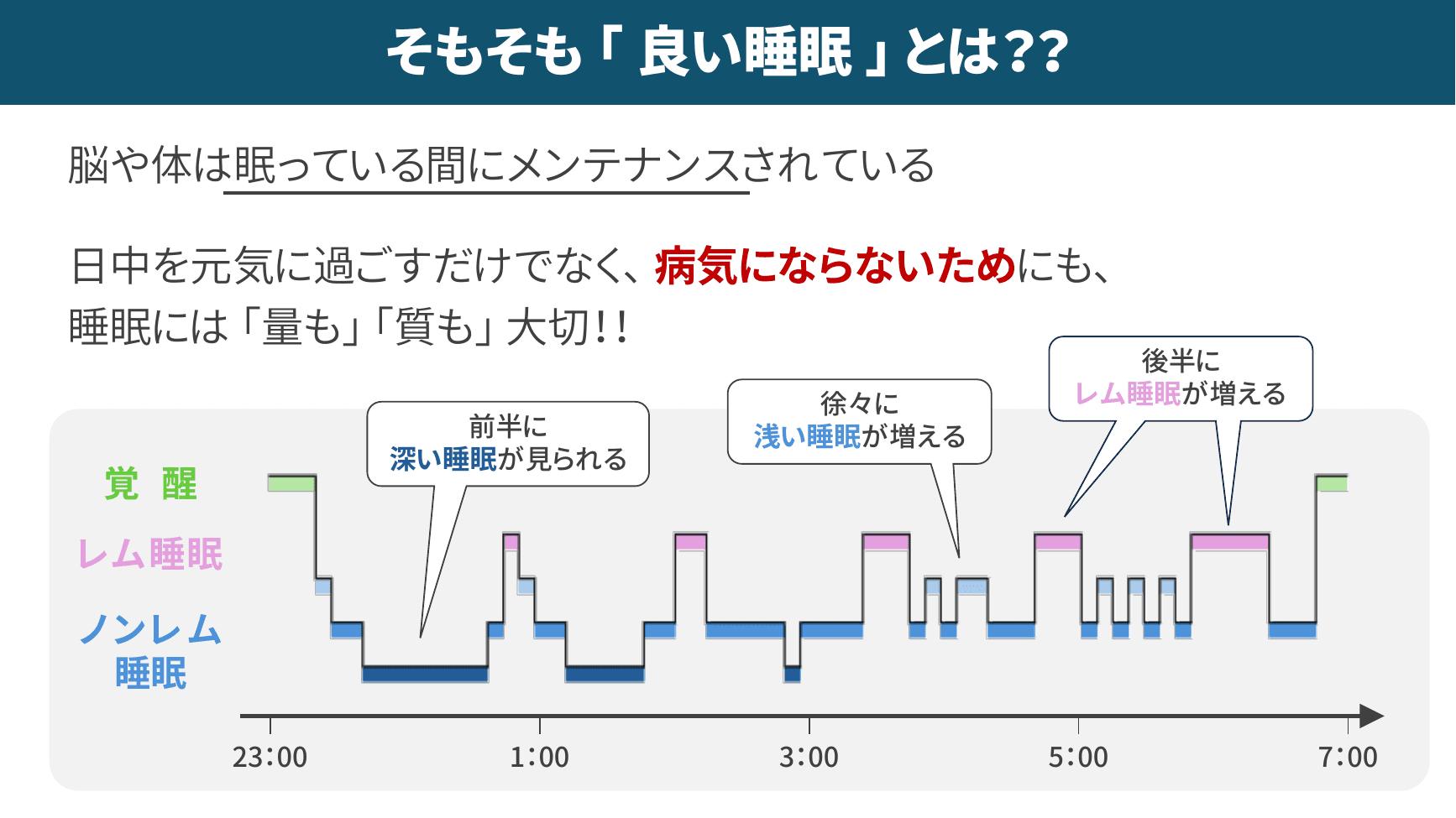 睡眠サイクルとレム睡眠の重要性