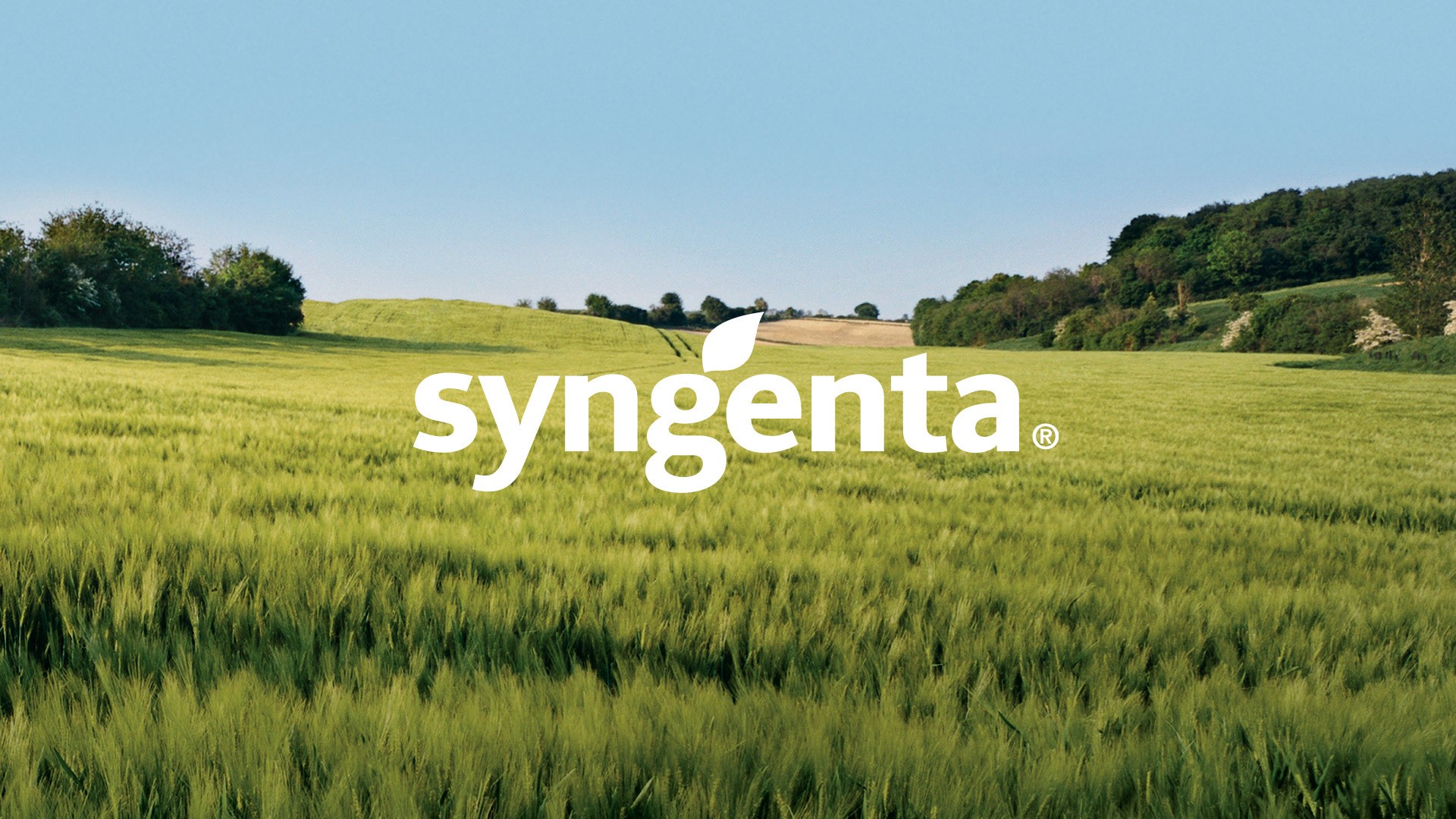 Syngenta
