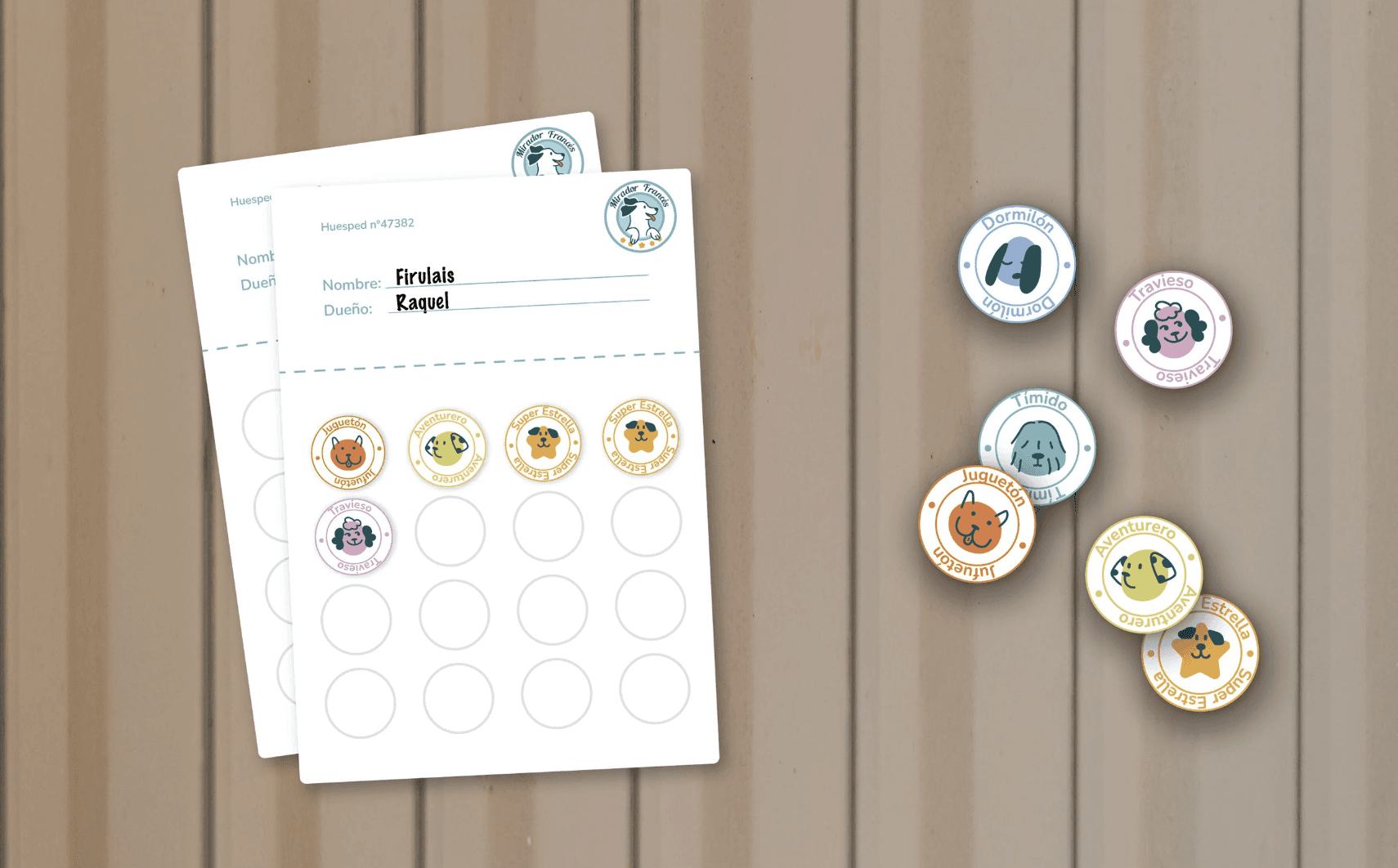 Project Gallery Image for 50% width of the screen #2