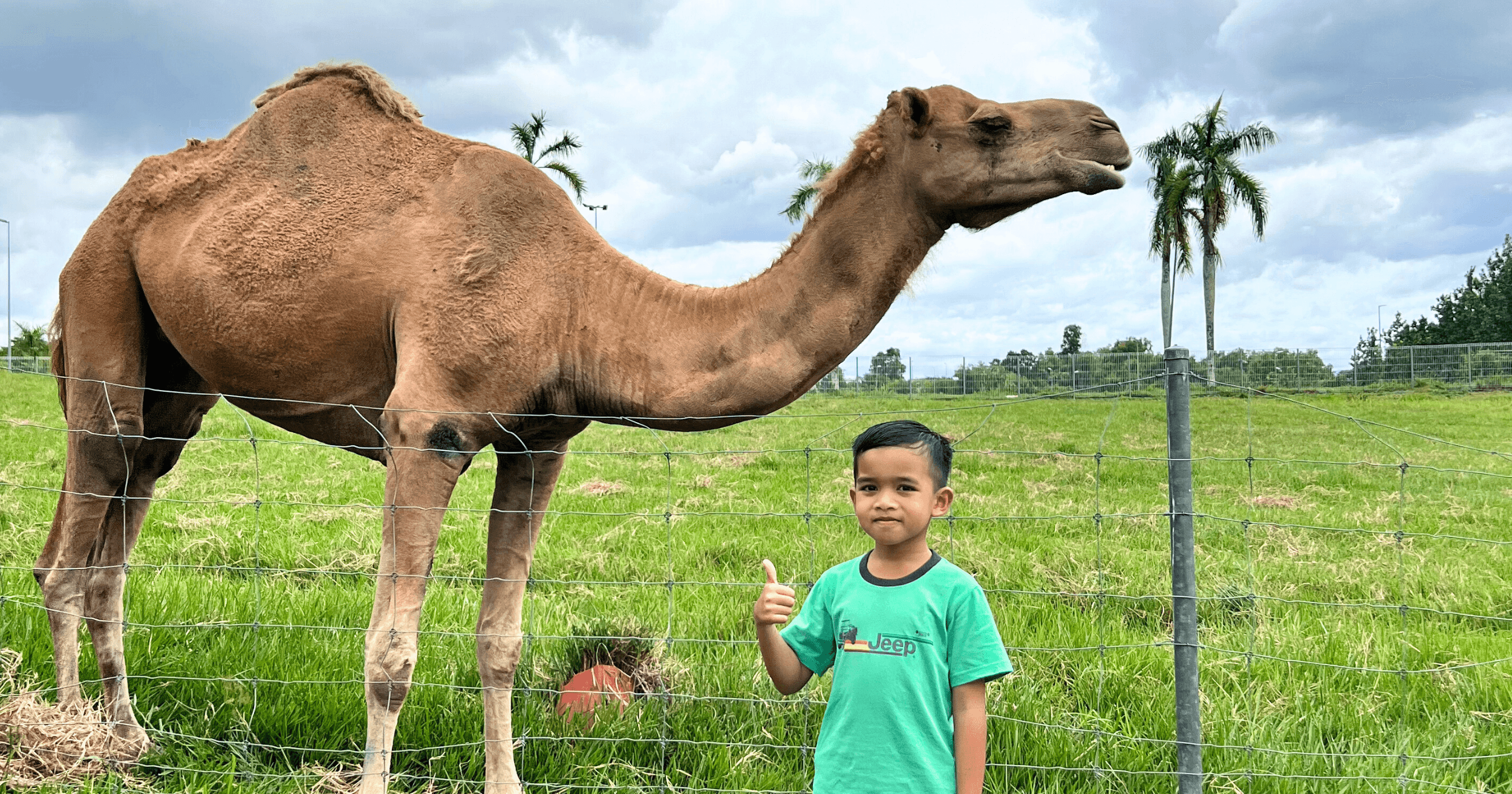 Pengunjung cilik restoran House of Kambing bergambar dengan unta di ladang MAEPS Serdang