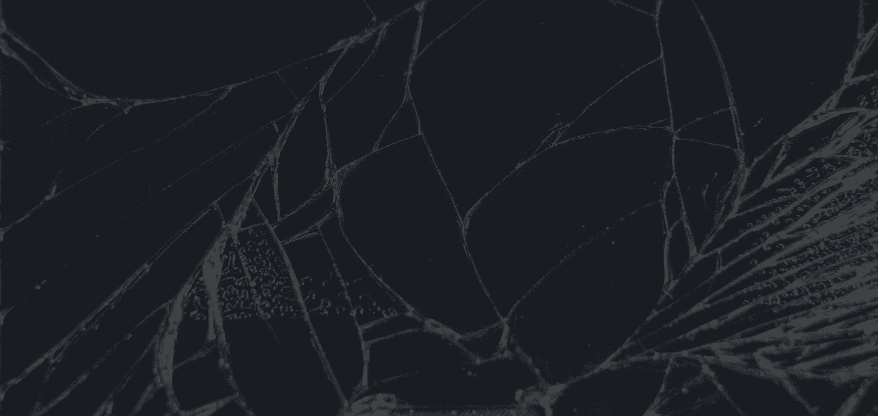 Glasscheibe mit Bruchstellen