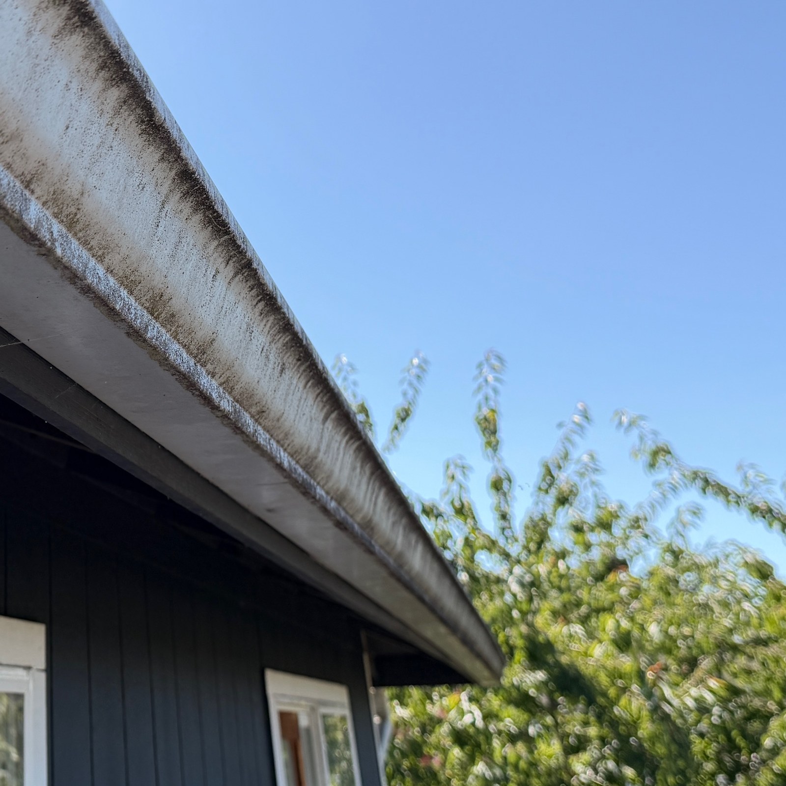 Before: gutter cleaning & fascia mold removal in Lake Stevens, WA