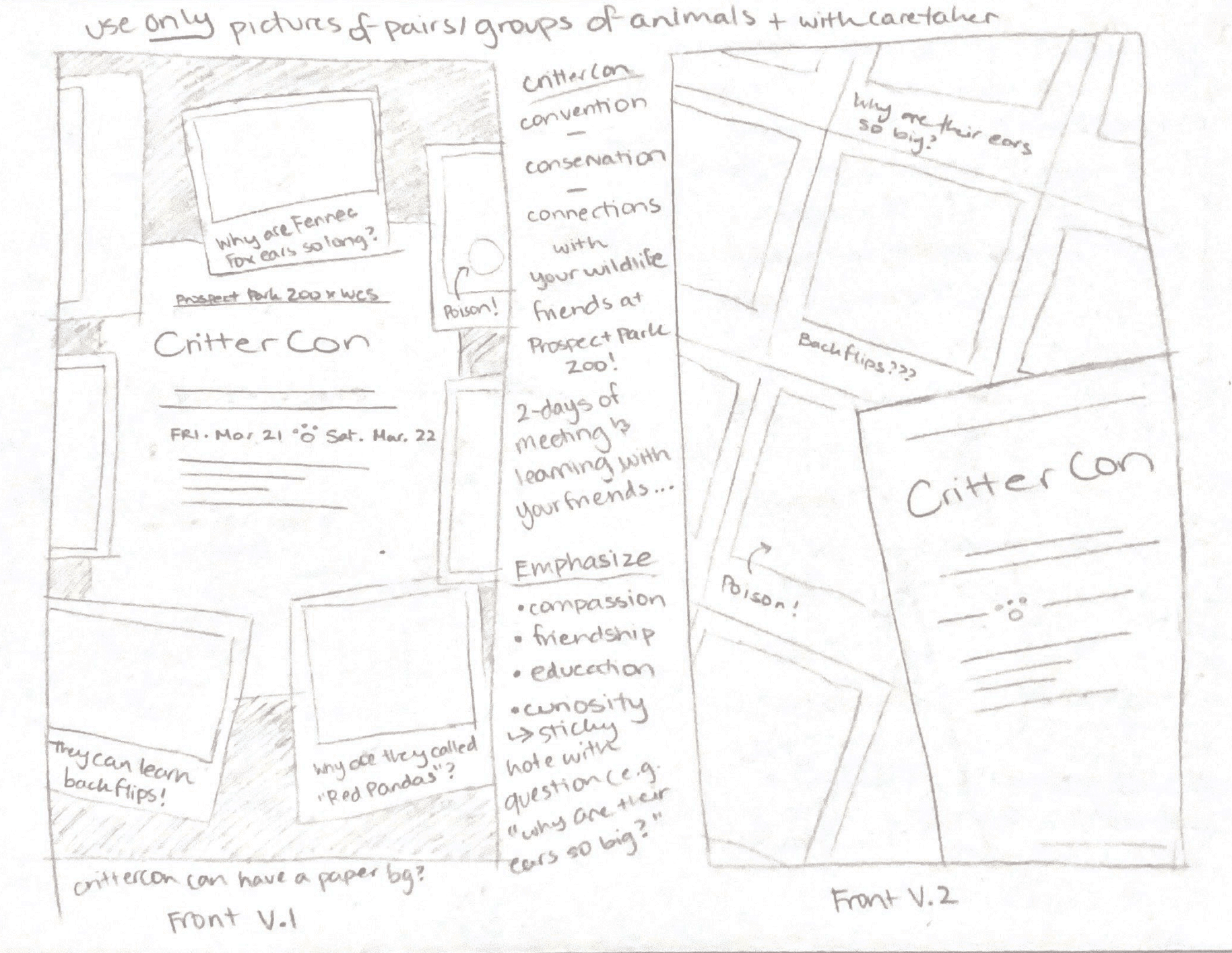 Brochure Sketches