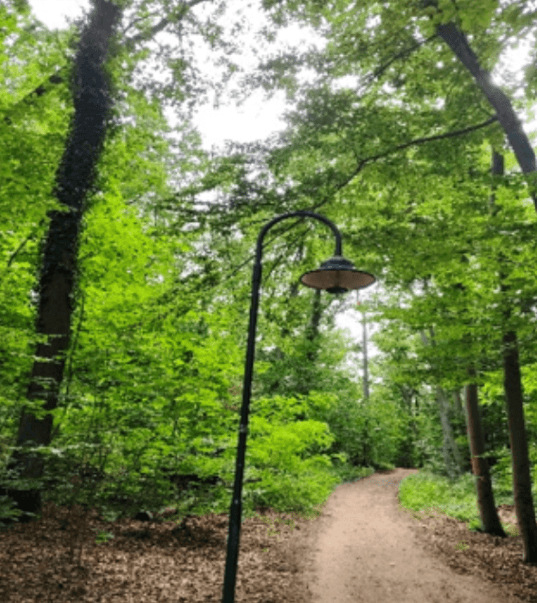 Screenshot 2024-09-04 154553.png