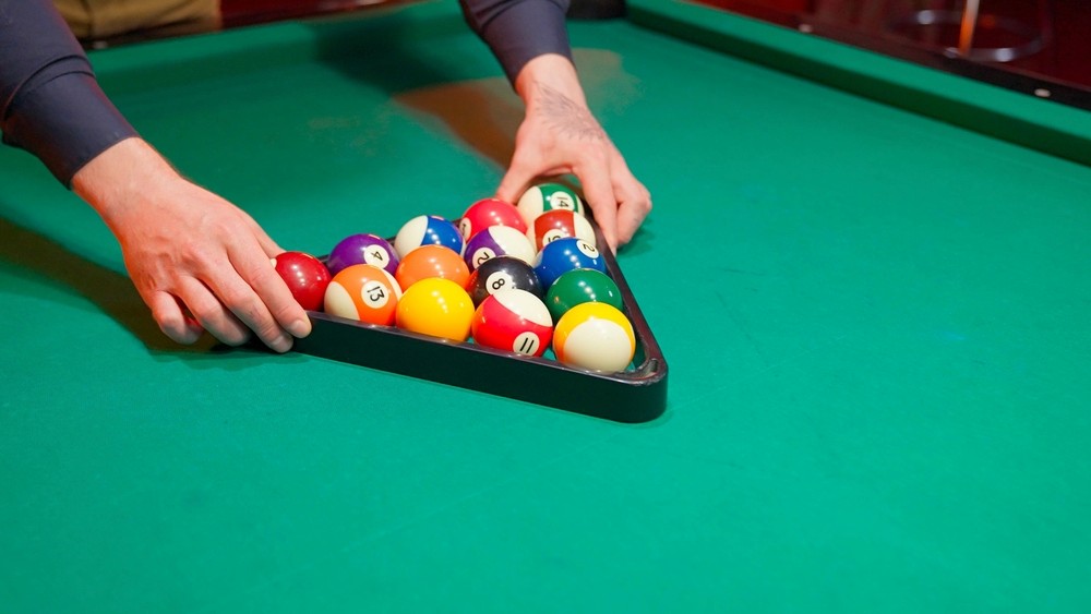 Close-up of lush, dark green leaves, some glossy and wet, against a muted background.