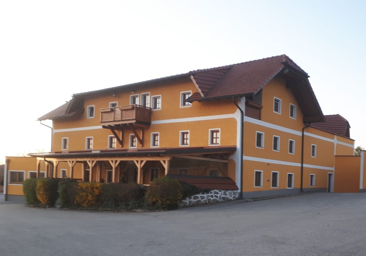 Close-up of lush, dark green leaves, some glossy and wet, against a muted background.