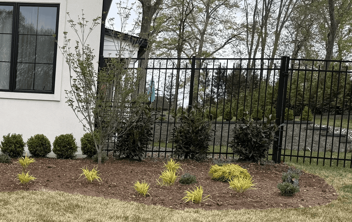 Landscaped yard with mulched garden bed and fence