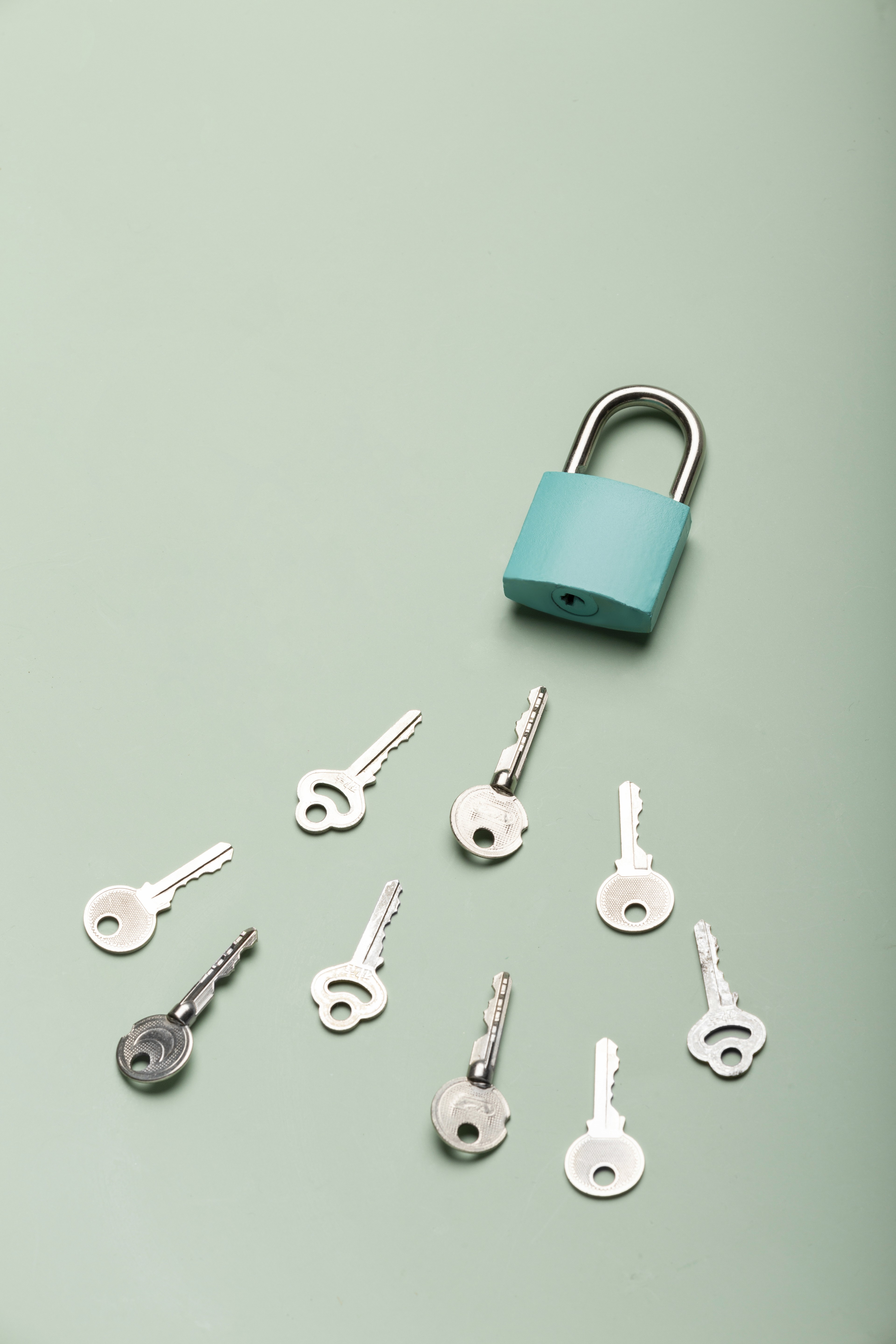 Close-up of blue flowers, glistening with droplets of water, creating a serene and calming atmosphere.