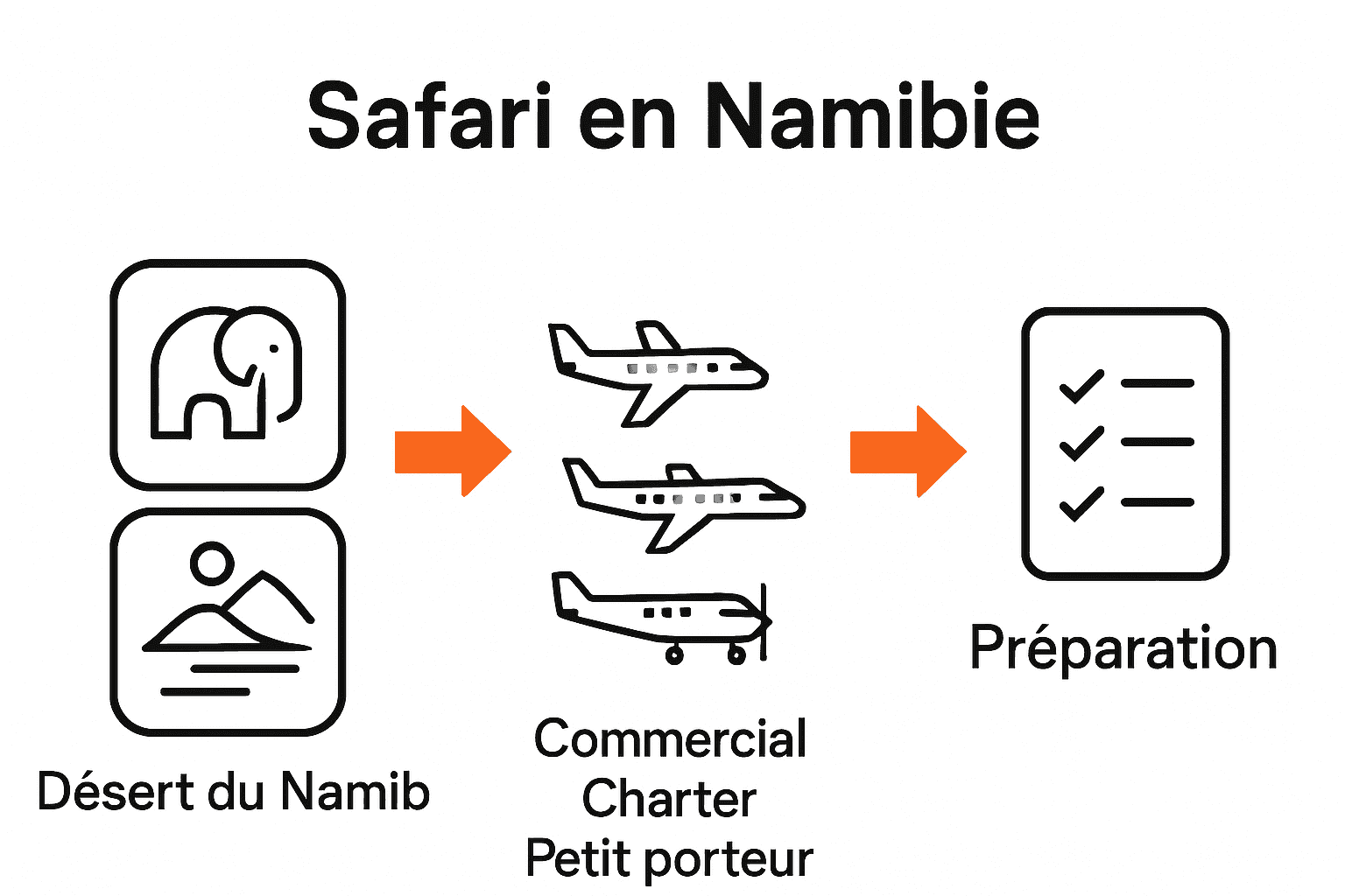 Infographie: étapes du vol safari Namibie