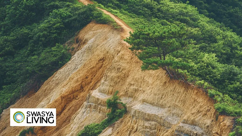 Effective Ways to Prevent Soil Erosion on Slopes!
