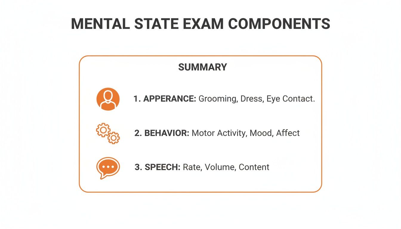Summary of Mental State Exam components covering appearance, behavior, and speech characteristics.