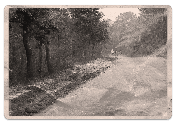 Beyond being a profitable company