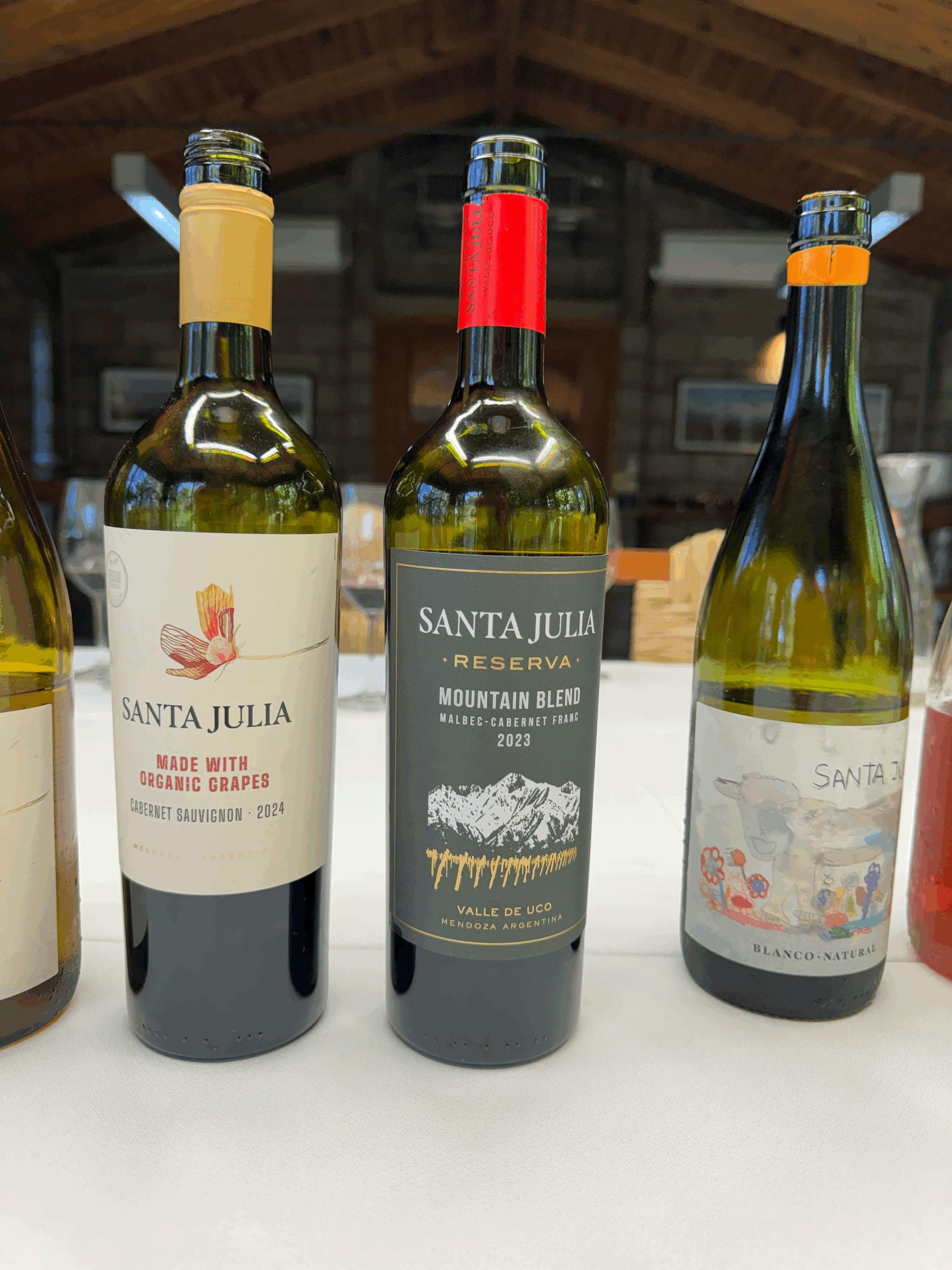 A selection of Santa Julia wines tasted during our visit to Mendoza.