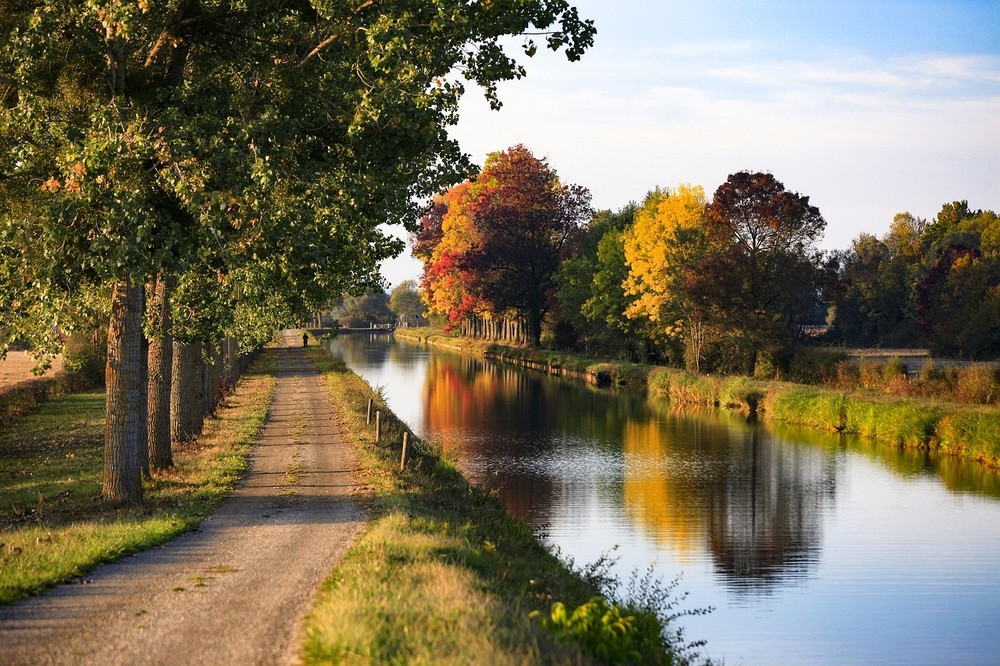 Chemin de halage bordé d'arbres en automne, reflet dans l'eau du canal.