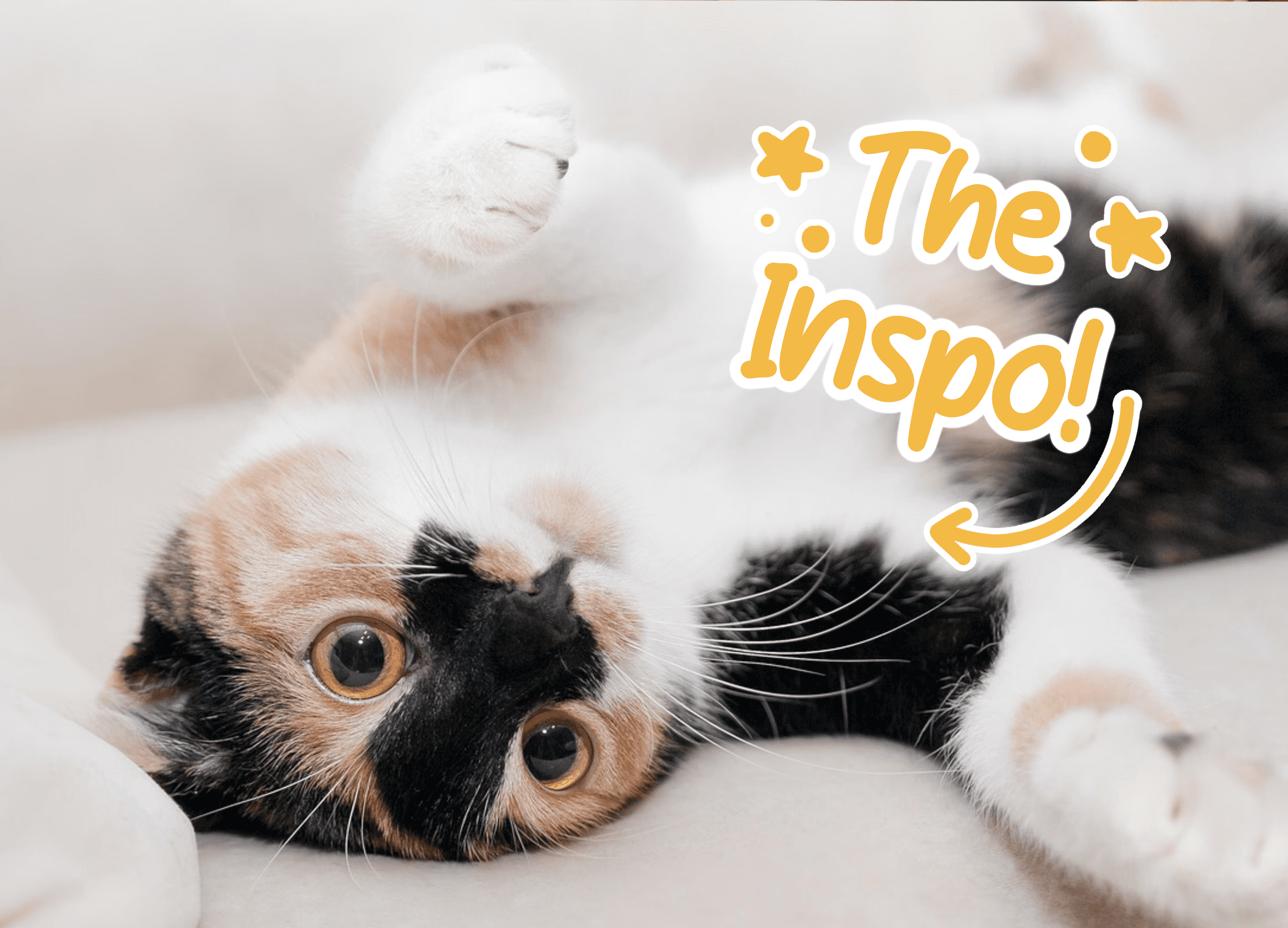 Image by pikabum from Pixabay