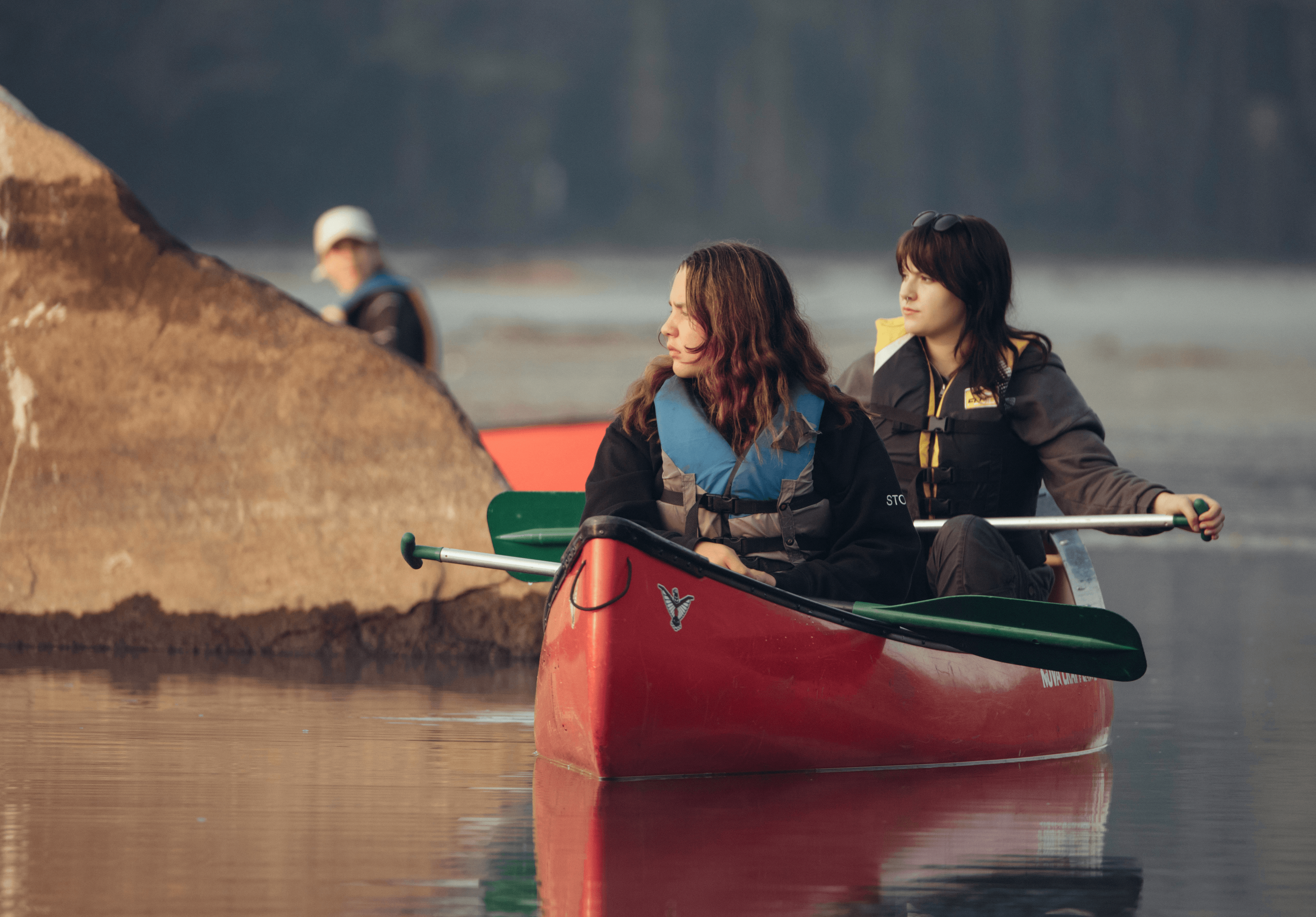 Here comes the alt text